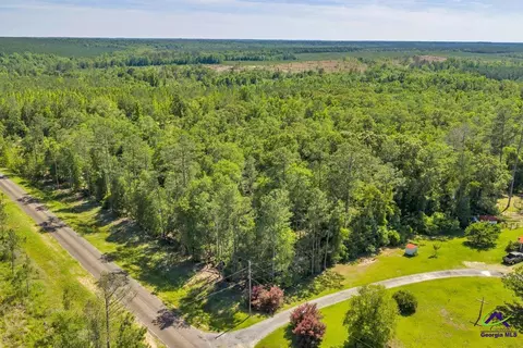 Parcel 4 Everett Wood Road, Oglethorpe, GA 31068 photo 14