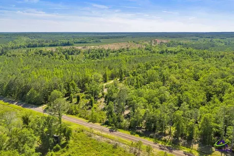 Parcel 4 Everett Wood Road, Oglethorpe, GA 31068 photo 17