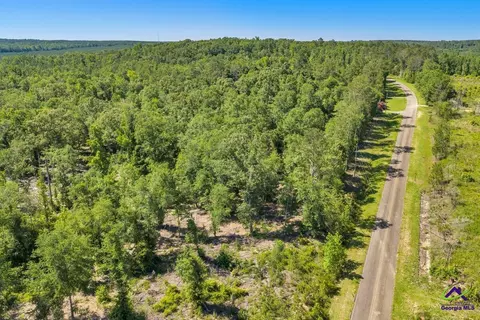 Parcel 5 Everett Wood Road, Oglethorpe, GA 31068 photo 19