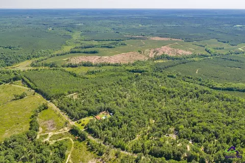 Parcel 5 Everett Wood Road, Oglethorpe, GA 31068 photo 6