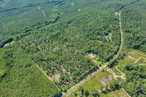 Parcel 5 Everett Wood Road, Oglethorpe, GA 31068 photo 22