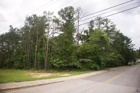 2501 Elberta Rd, Centerville, GA 31028 photo 5