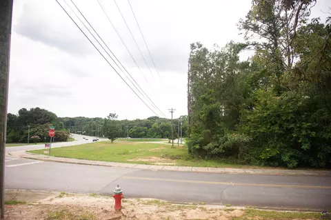2501 Elberta Rd, Centerville, GA 31028 photo 4
