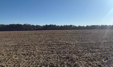 0 Whitfield Rd, Elko, GA 31025