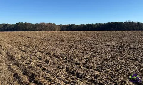 0 Whitfield Rd, Elko, GA 31025 photo 2