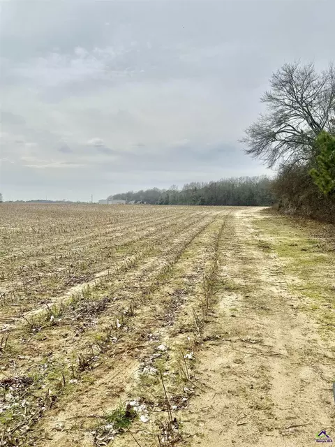 0 Whitfield Rd, Elko, GA 31025 photo 5