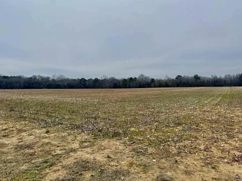 0 Whitfield Rd, Elko, GA 31025 photo 3