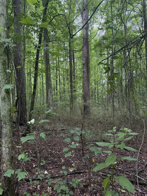 0 Robinson St, Franklin, GA 30217