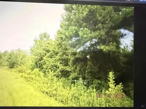C017 020 Whitikar Road, Roberta, GA 31078