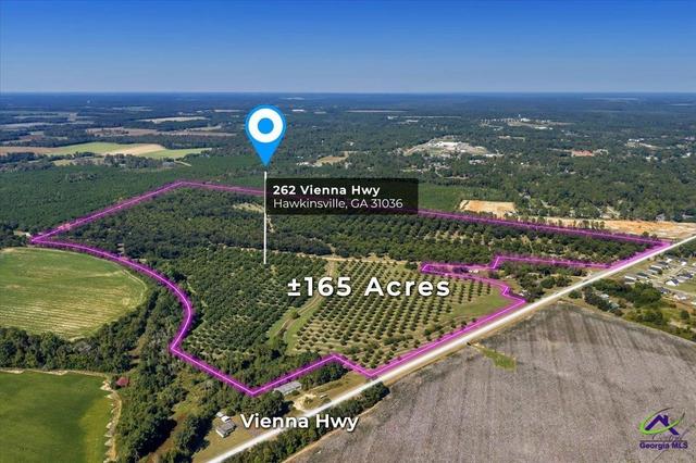 262 Vienna Hwy, Hawkinsville, GA 31036