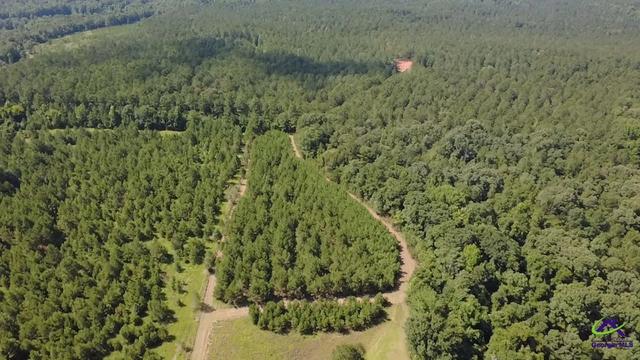 1636 Tribble Rd, Fort Valley, GA 31030
