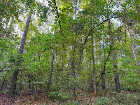 12 6 Acres Hicks Rd, Roberta, GA 31078 photo 13