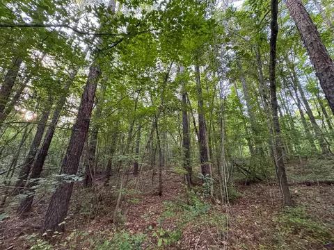 12 6 Acres Hicks Rd, Roberta, GA 31078 photo 17