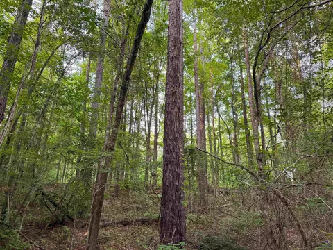 12 6 Acres Hicks Rd, Roberta, GA 31078 photo 16
