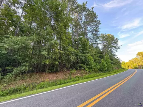 12 6 Acres Hicks Rd, Roberta, GA 31078 photo 15