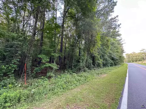 12 6 Acres Hicks Rd, Roberta, GA 31078 photo 4