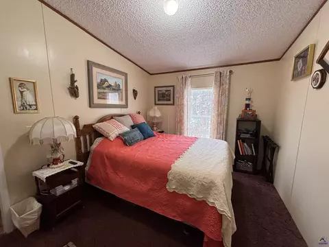 177 Rene Drive Ext, Cochran, GA 31014 photo 18