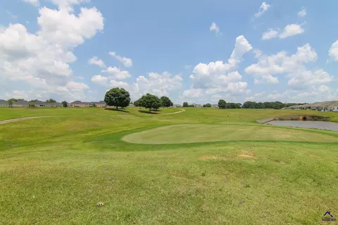 161 Turning Leaf Ln, Perry, GA 31069 photo 30