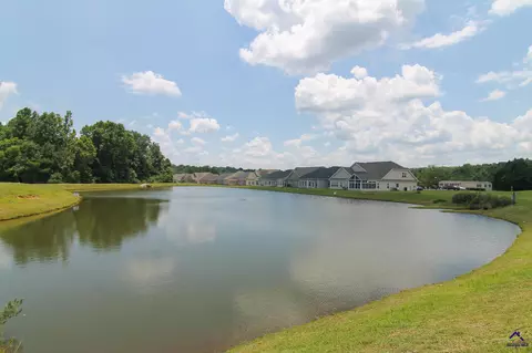 161 Turning Leaf Ln, Perry, GA 31069 photo 31