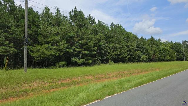 307 Lee Paul Rd, Hawkinsville, GA 31036