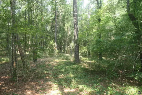 176 Seagull, Cochran, GA 31014 photo 2