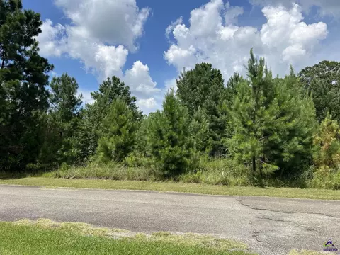 Nubby Lane, Cochran, GA 31014 photo 12