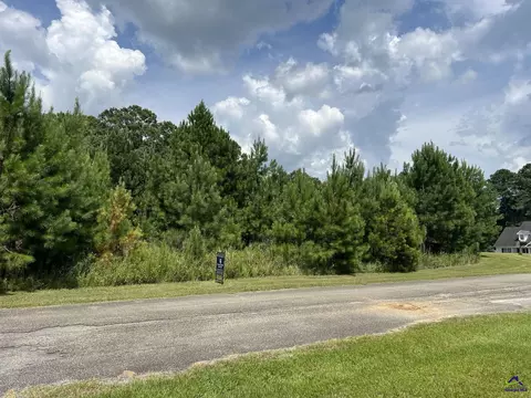 Nubby Lane, Cochran, GA 31014 photo 11