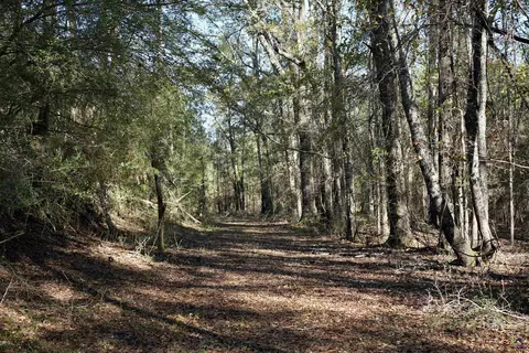 Englishville, Oglethorpe, GA 31068 photo 14