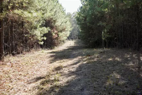 Englishville, Oglethorpe, GA 31068 photo 7