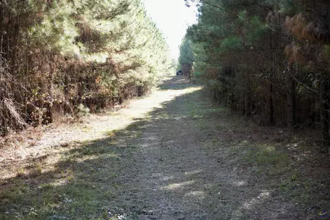 Englishville, Oglethorpe, GA 31068 photo 4