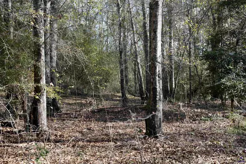 Englishville, Oglethorpe, GA 31068 photo 12