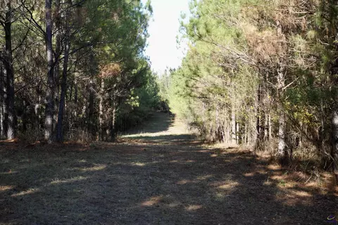 Englishville, Oglethorpe, GA 31068 photo 17