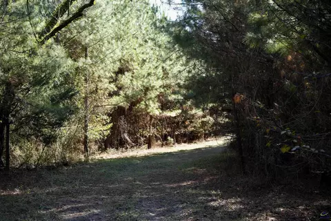 Englishville, Oglethorpe, GA 31068 photo 3