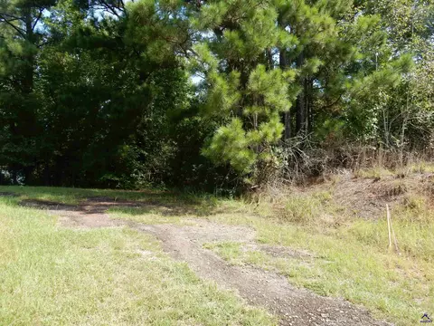 Whitaker Road, Roberta, GA 31078 photo 2