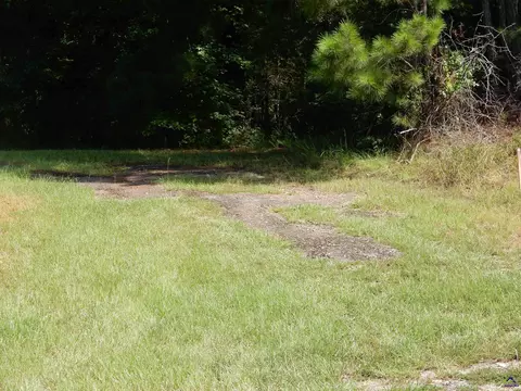 Whitaker Road, Roberta, GA 31078 photo 3