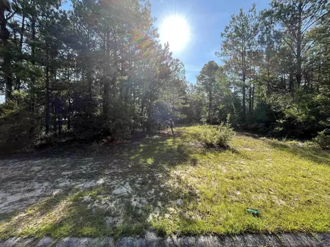 0 Sullivan Ln, Warner Robins, GA 31093 photo 3