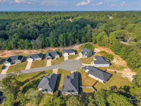 View/Area - 209 Sugar Maple Ct, Byron, GA 31008 photo 3 of 3