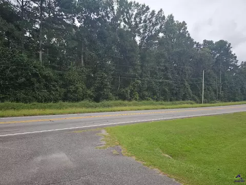 0 Hwy 87, Eastman, GA 31023