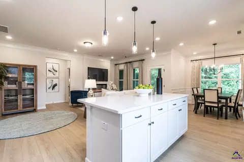 Kitchen - 507 Lamplight Dr #LOT E11, Byron, GA 31008 photo 5 of 5