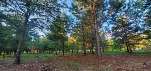00 N County Line Rd, Elko, GA 31025 photo 4