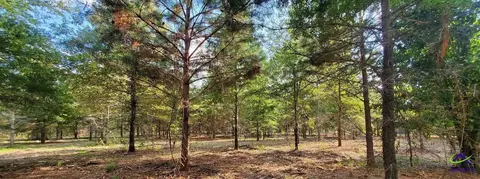 00 N County Line Rd, Elko, GA 31025 photo 13