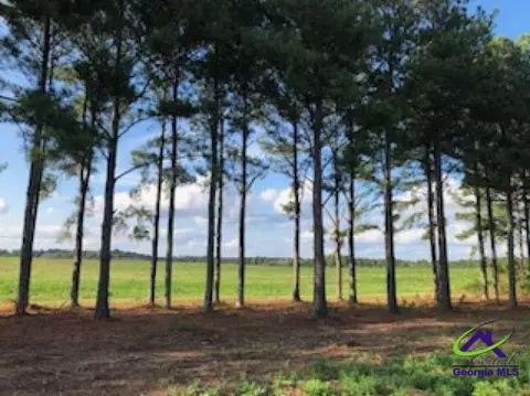 00 N County Line Rd, Elko, GA 31025