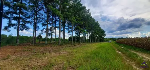 00 N County Line Rd, Elko, GA 31025 photo 6