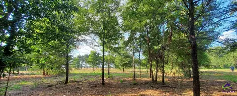 00 N County Line Rd, Elko, GA 31025 photo 12