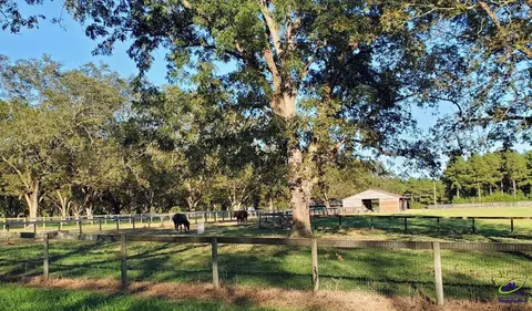00 N County Line Rd, Elko, GA 31025 photo 15