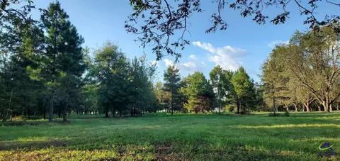 00 N County Line Rd, Elko, GA 31025 photo 3