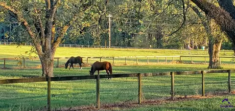 00 N County Line Rd, Elko, GA 31025 photo 16