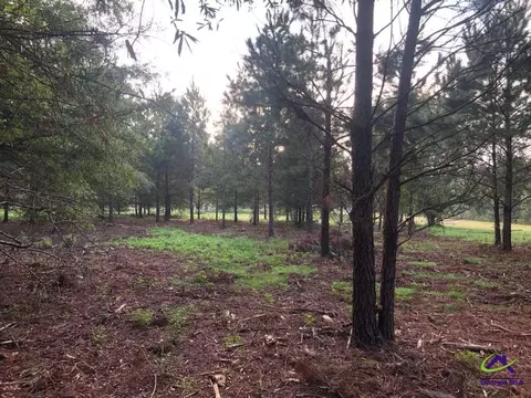 00 N County Line Rd, Elko, GA 31025 photo 8