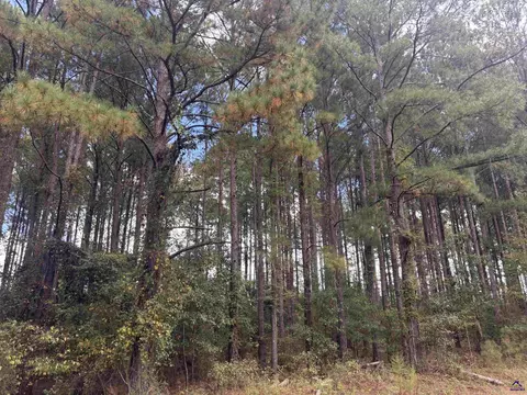lot5 6 Limestone Lndg, Cochran, GA 31014
