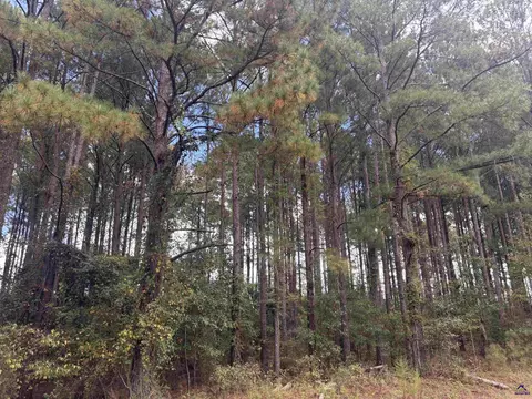 lot5 6 Limestone Lndg, Cochran, GA 31014